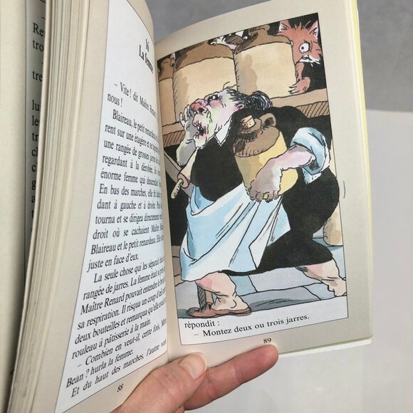 2 Livres jeunesse vintage 90s 🦊 Documentaire + Roman Fantastique Maître Renard - Picture 6 of 9